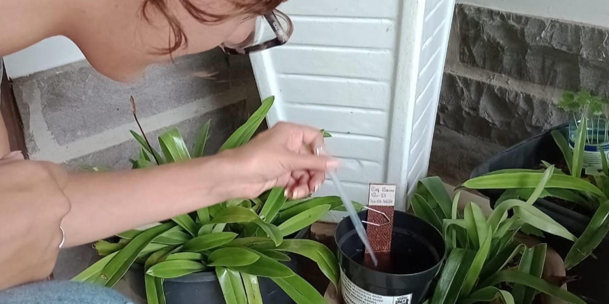 Coqueiro Baixo desenvolve trabalhos de prevenção a Dengue