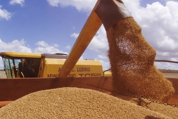 A produção de soja é de um novo recorde, estimado em 135,86 milhões de toneladas 