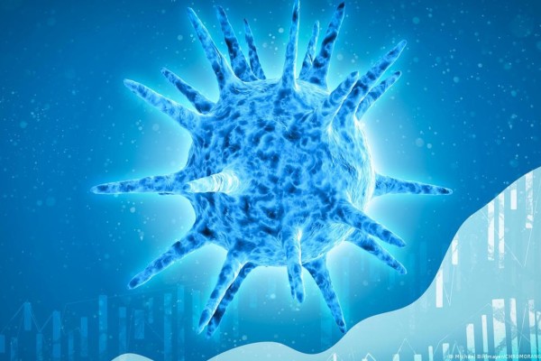 Os casos foram identificados em amostras coletadas nas duas últimas semanas de outubro e nas duas primeiras de novembro em Porto Alegre (5) e Santa Maria (3).