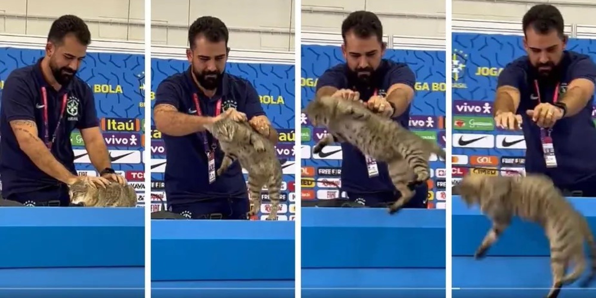 ONG pede R$ 1 milhão em ação contra a CBF alegando maus-tratos a gato no Catar