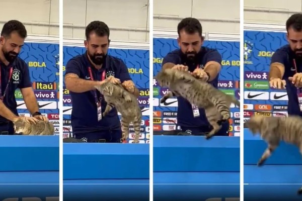 ONG pede R$ 1 milhão em ação contra a CBF alegando maus-tratos a gato no Catar