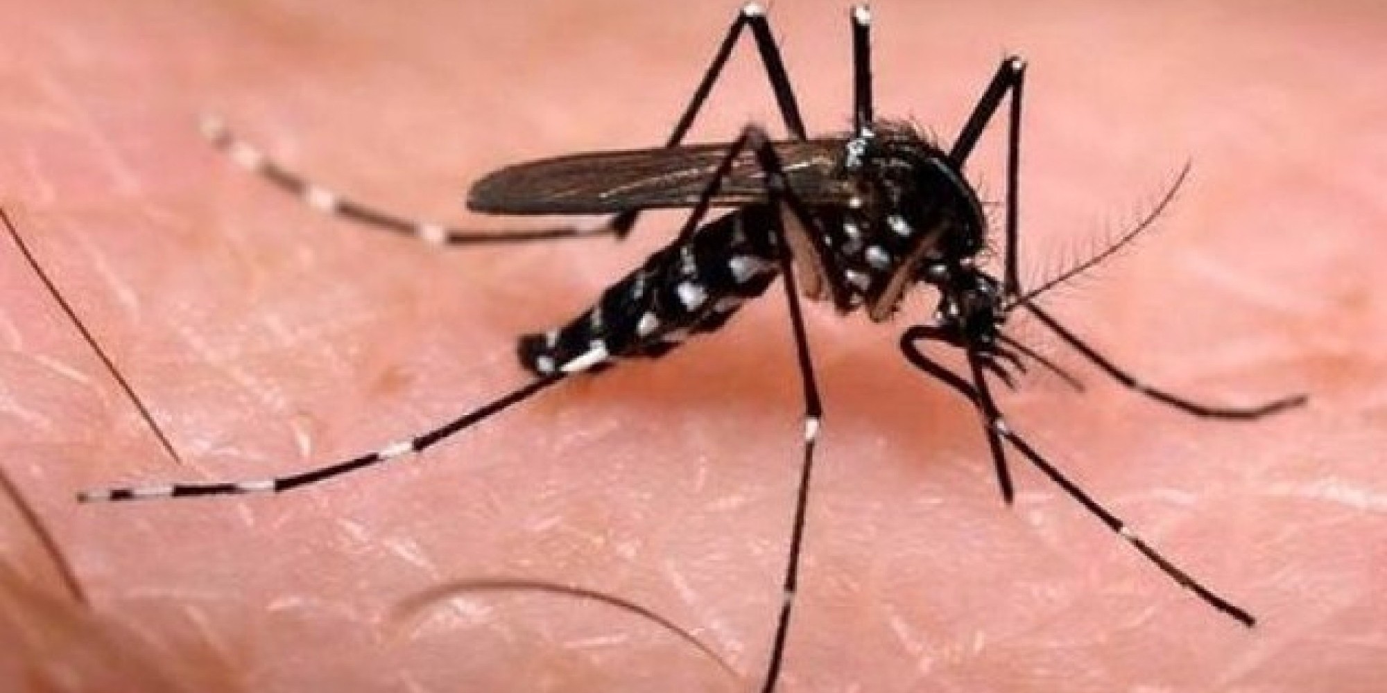 Em seis meses, Brasil já registra 130% mais mortes por dengue