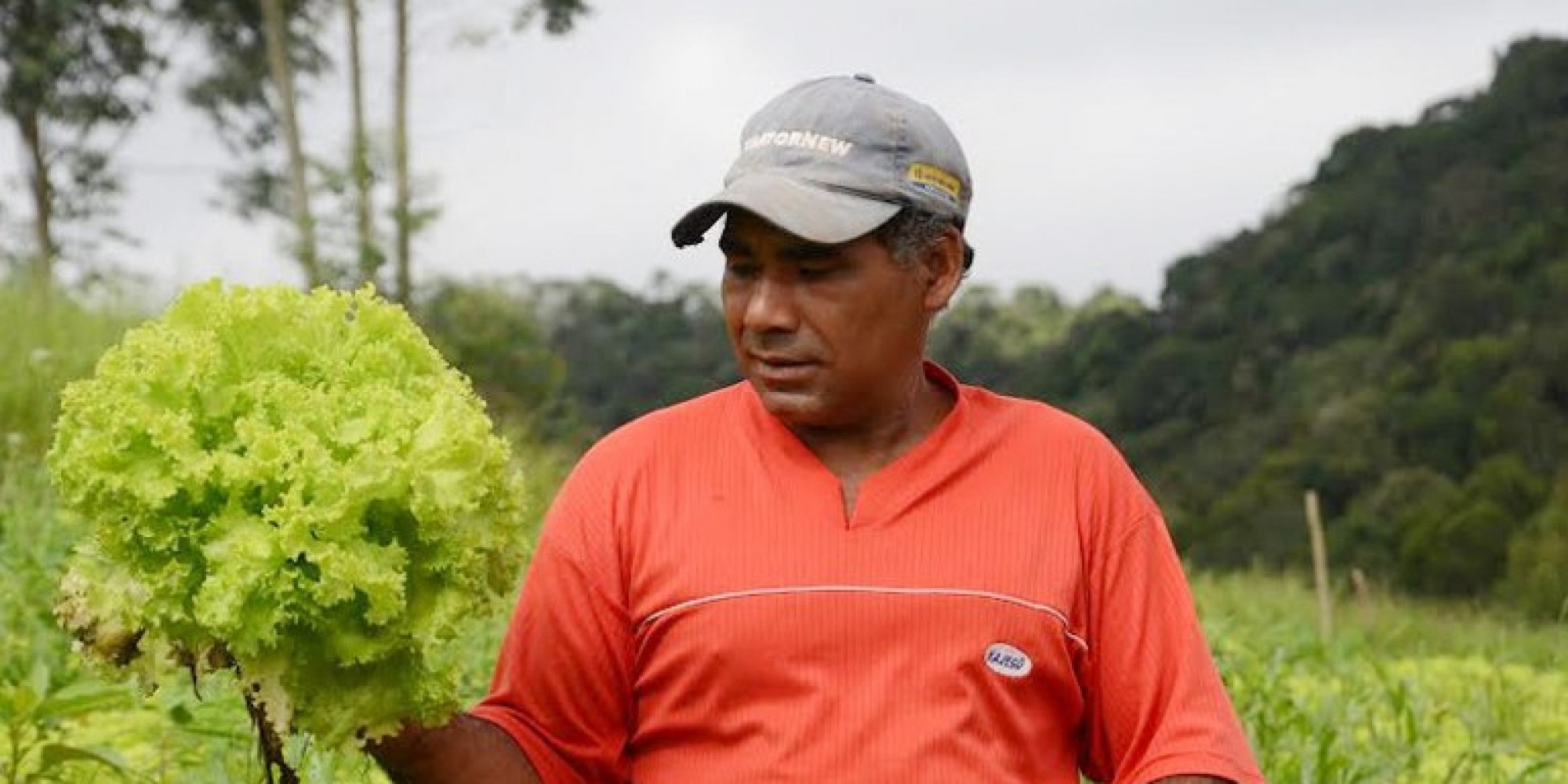 Documento provisório de exploração da terra assinado pelos assentados com o Incra ficam automaticamente revalidados pelo período de 180 dias Documento provisório de exploração da terra assinado pelos assentados com o Incra ficam automaticamente revalidados pelo período de 180 dias