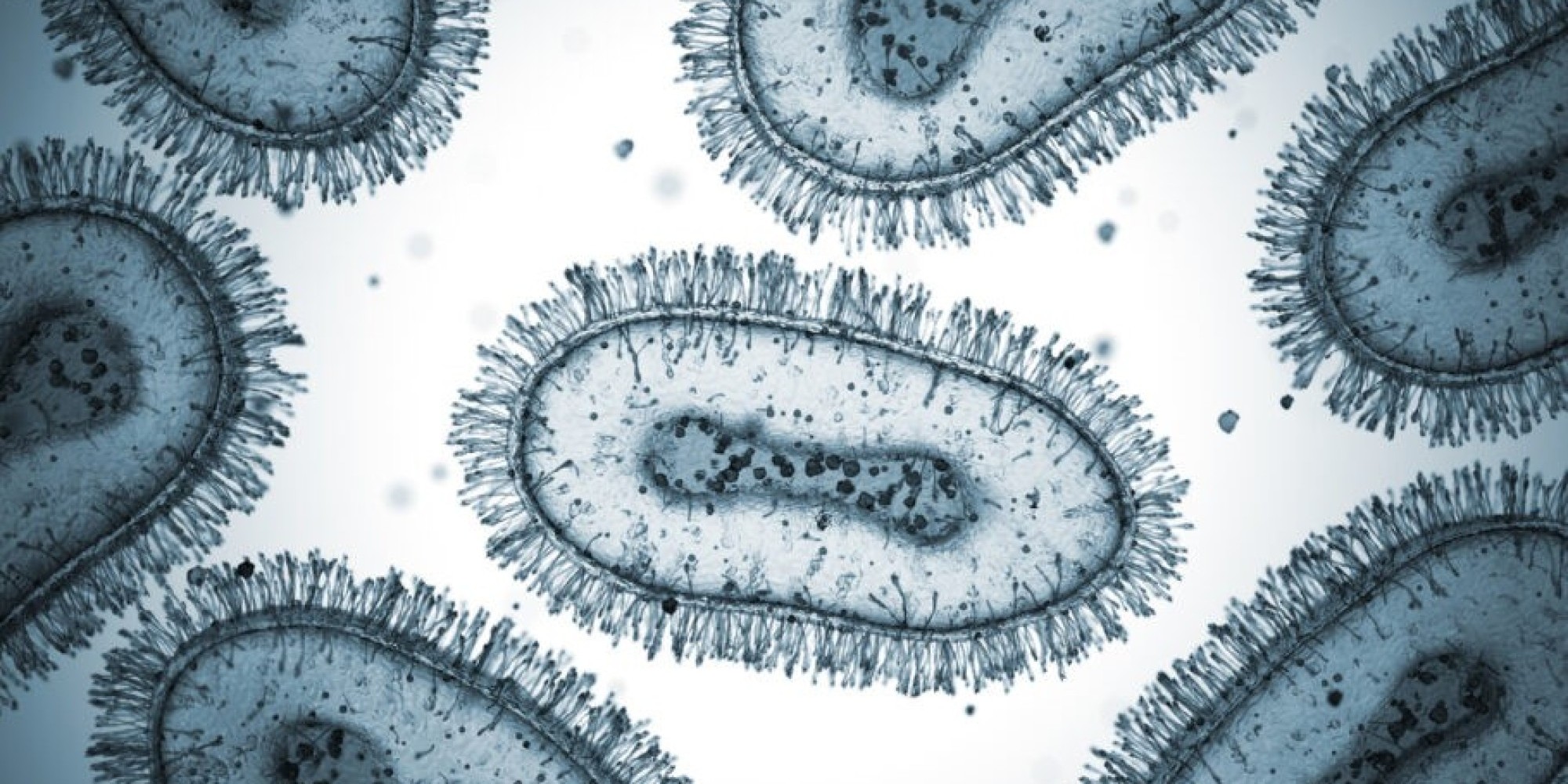 Brasil registra primeiros casos de transmissão comunitária da varíola do macaco