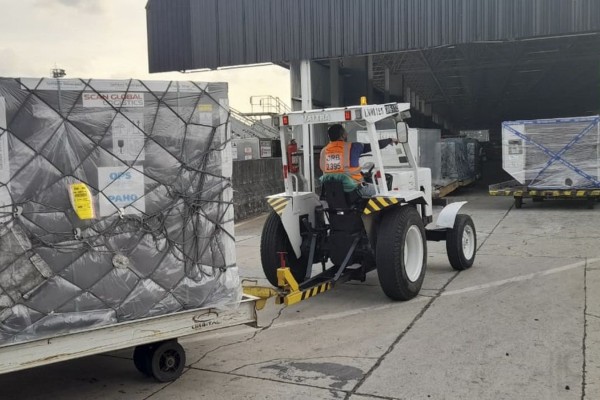 Covid-19: publicada lei que autoriza doar vacinas a outros países