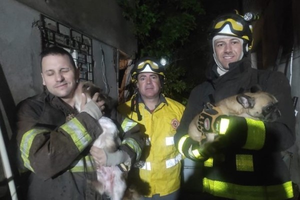 Deslizamento em Encantado soterra dois cães que são resgatados pelos bombeiros