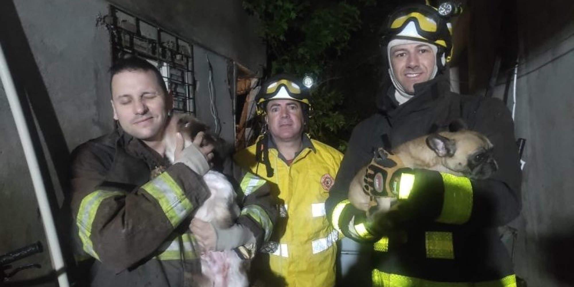 Deslizamento em Encantado soterra dois cães que são resgatados pelos bombeiros