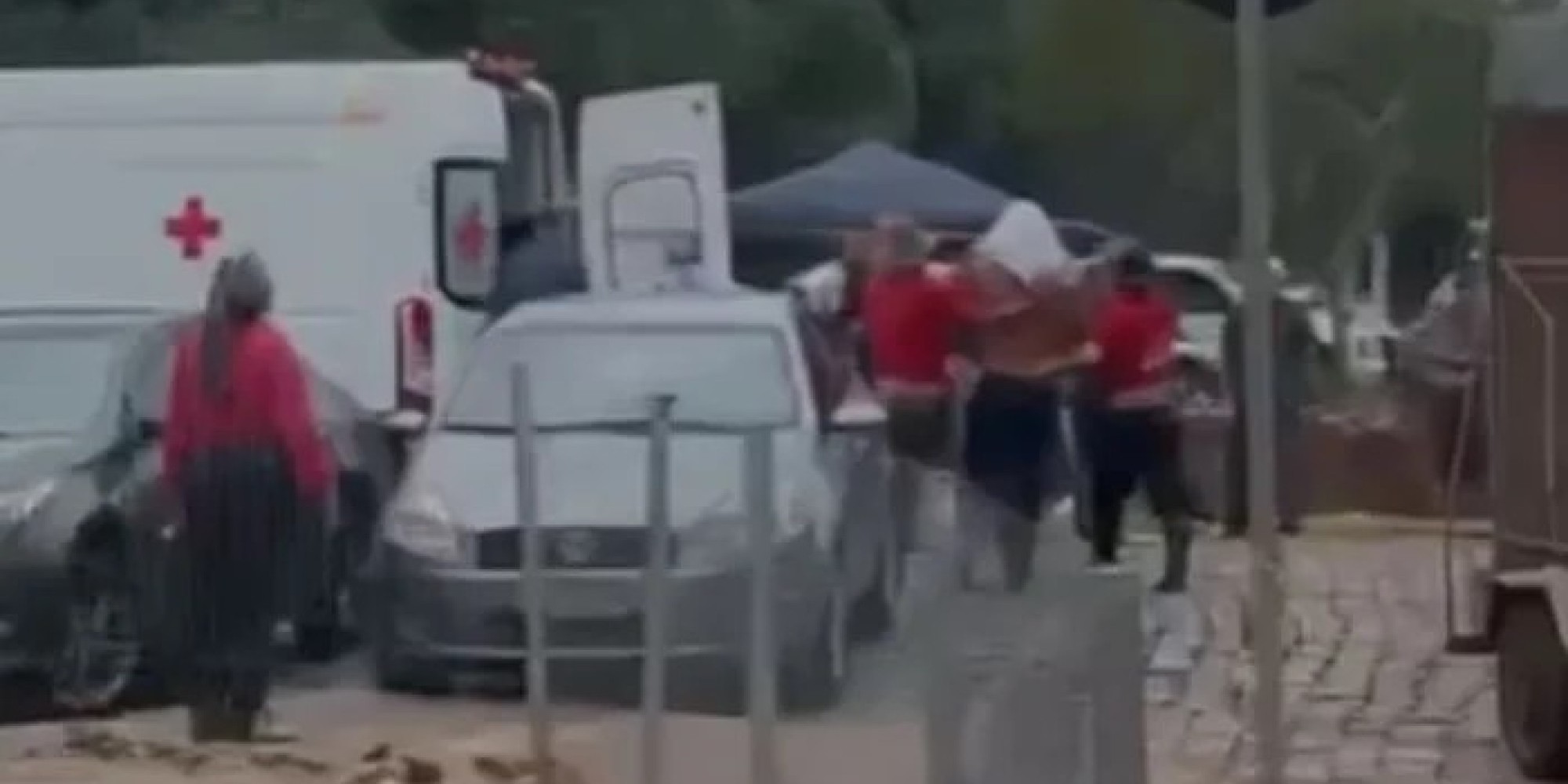 Ataque de abelhas fere pessoas e mata cavalos em cavalgada