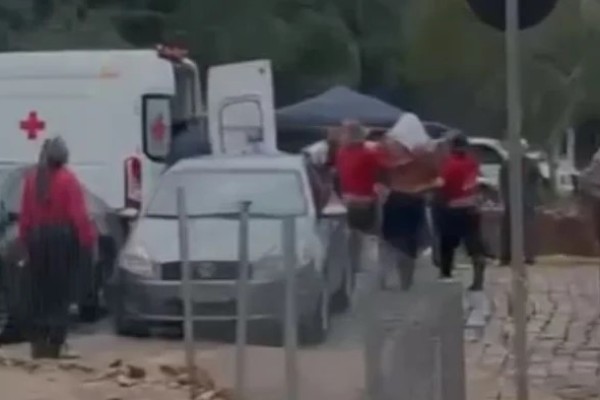 Ataque de abelhas fere pessoas e mata cavalos em cavalgada