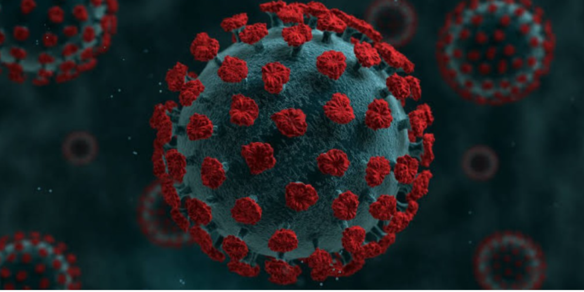 Casos de covid-19 chegam a 27,4 milhões no Brasil