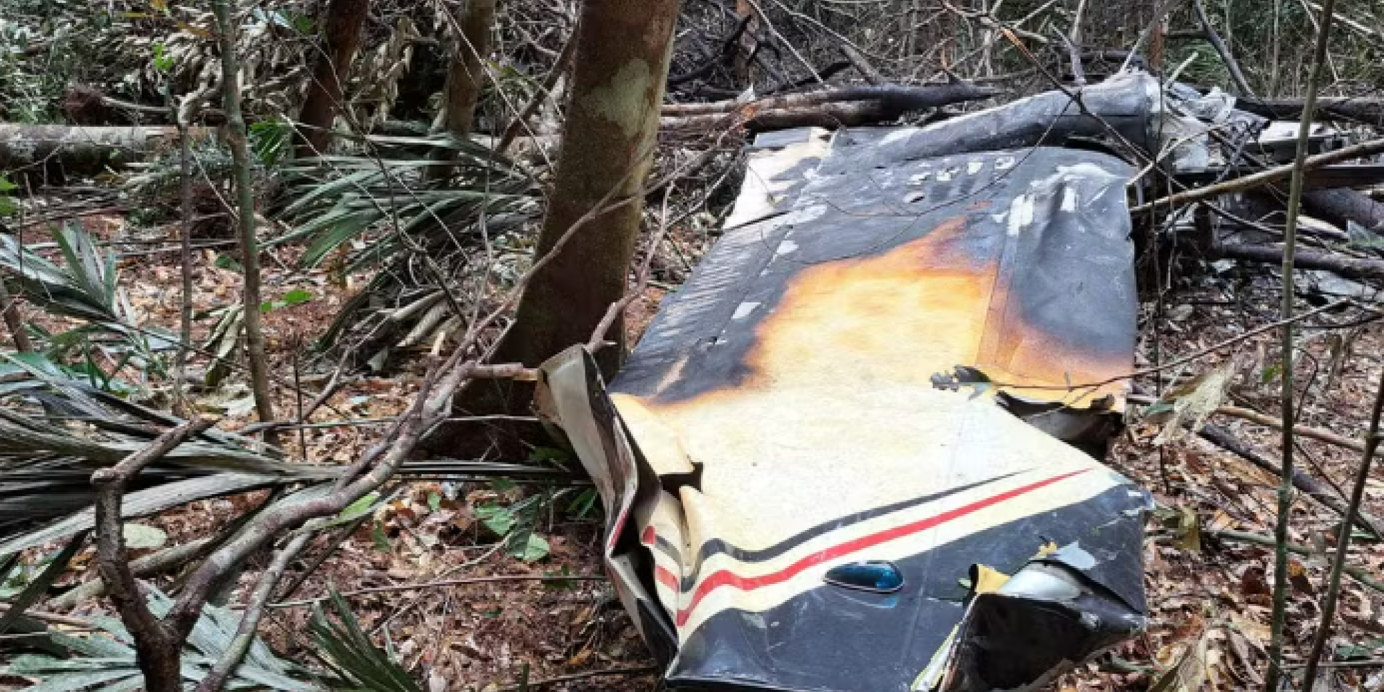 FAB intercepta e derruba avião do tráfico na fronteira com a Venezuela