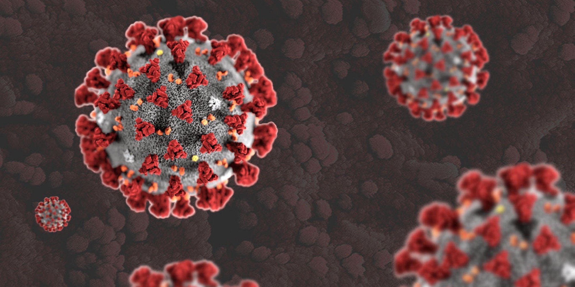Nas últimas 24h foram mais 614 óbitos 