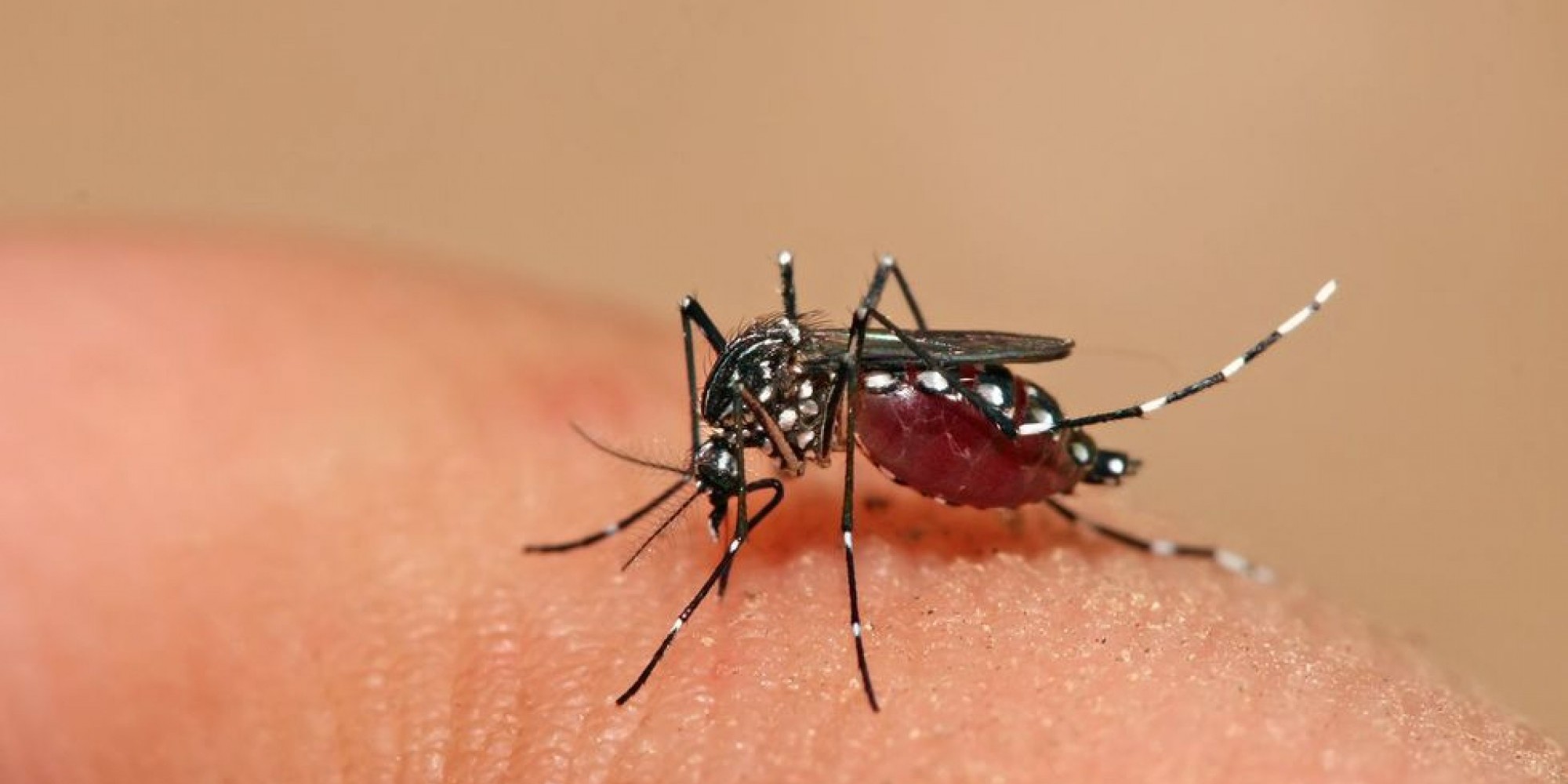 RS notificou 317 casos este ano 