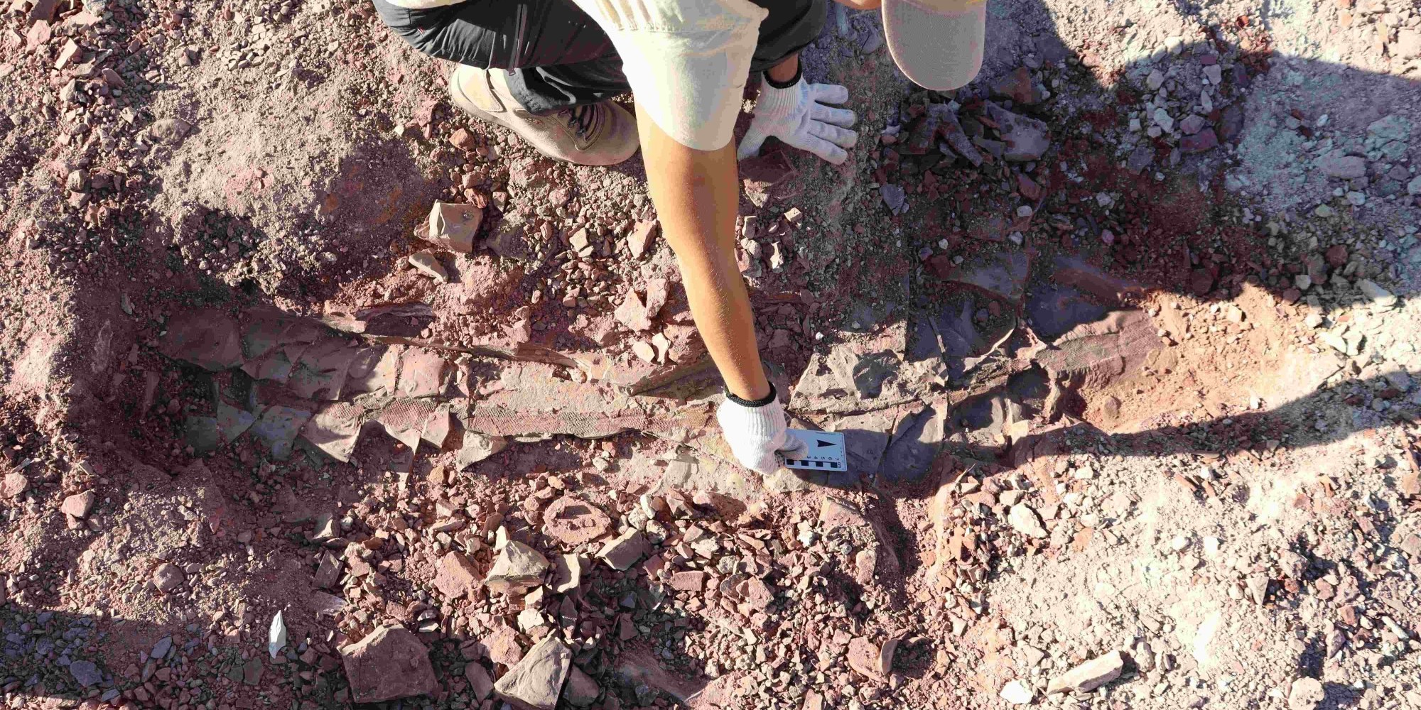 Sete décadas depois, cientistas redescobrem sítio paleontológico no Rio Grande do Sul