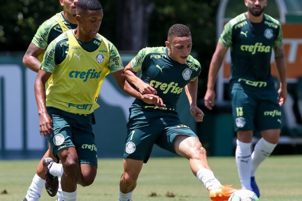 Verdão joga pelo Brasileirão de olho na final da Copa do Brasil 