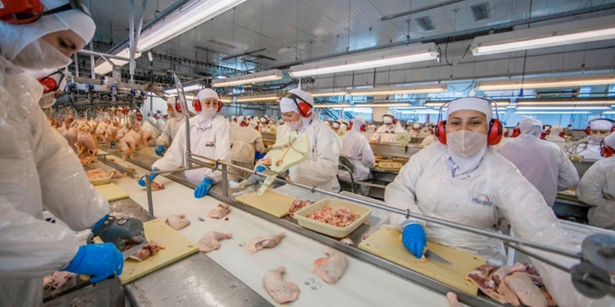 Plano deverá ser elaborado e disponibilizado pelos frigoríficos às autoridades sanitárias estadual ou municipal