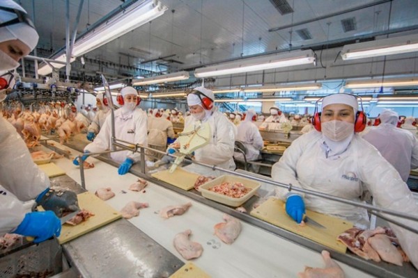 Plano deverá ser elaborado e disponibilizado pelos frigoríficos às autoridades sanitárias estadual ou municipal