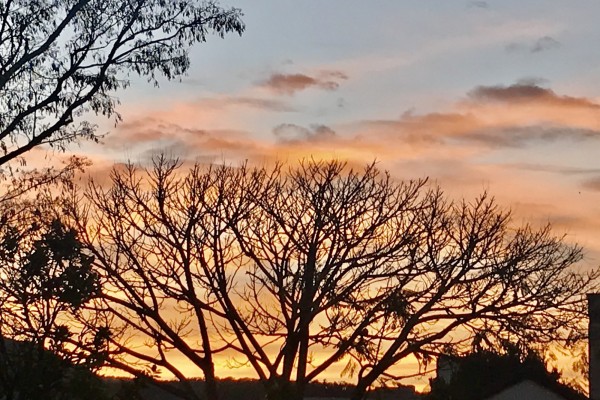 Sol volta a predominar nesta quarta-feira 
