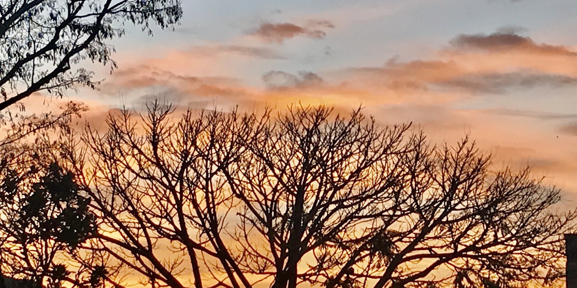 Sol volta a predominar nesta quarta-feira 