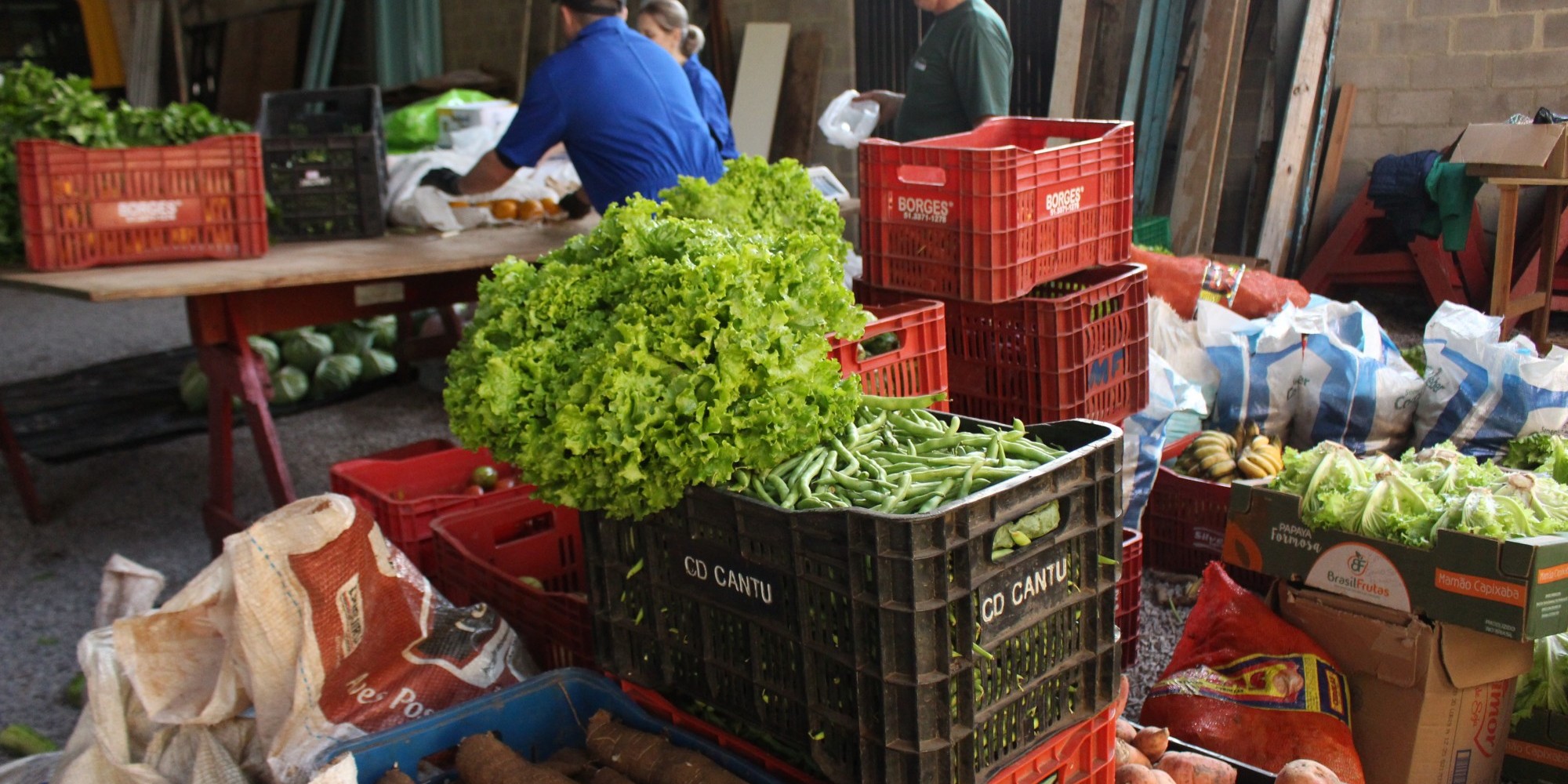 Programa federal incentiva a produção agrícola. Prefeitura compra alimentos produzidos no interior e distribui para escolas, hospital e famílias de baixa renda e vulnerabilidade social
