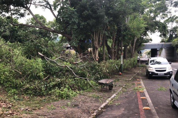 Limpeza da vegetação foi realizada ao redor do viaduto