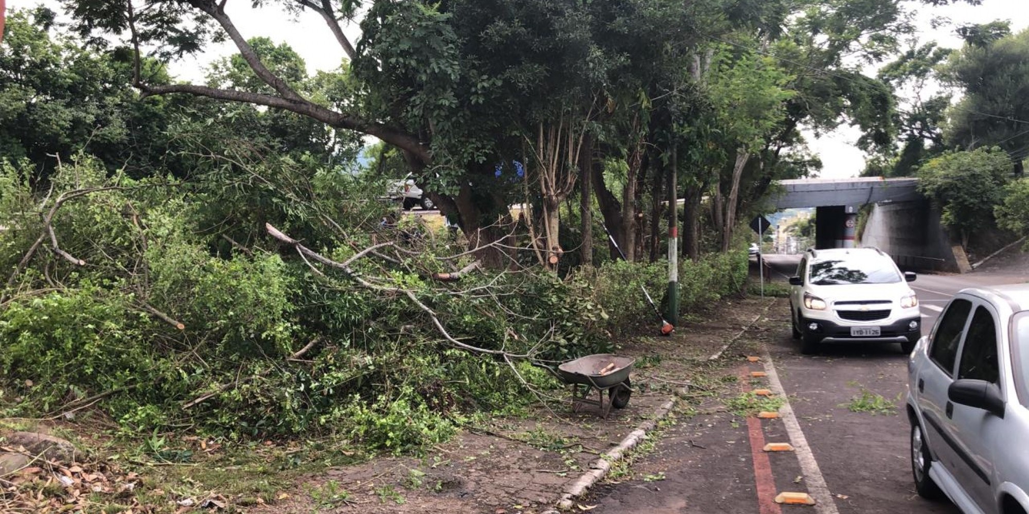 Limpeza da vegetação foi realizada ao redor do viaduto Limpeza da vegetação foi realizada ao redor do viaduto