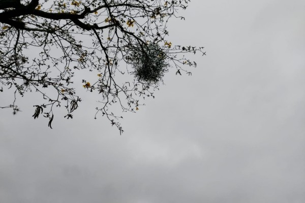 Semana será de alternância entre sol e chuva
