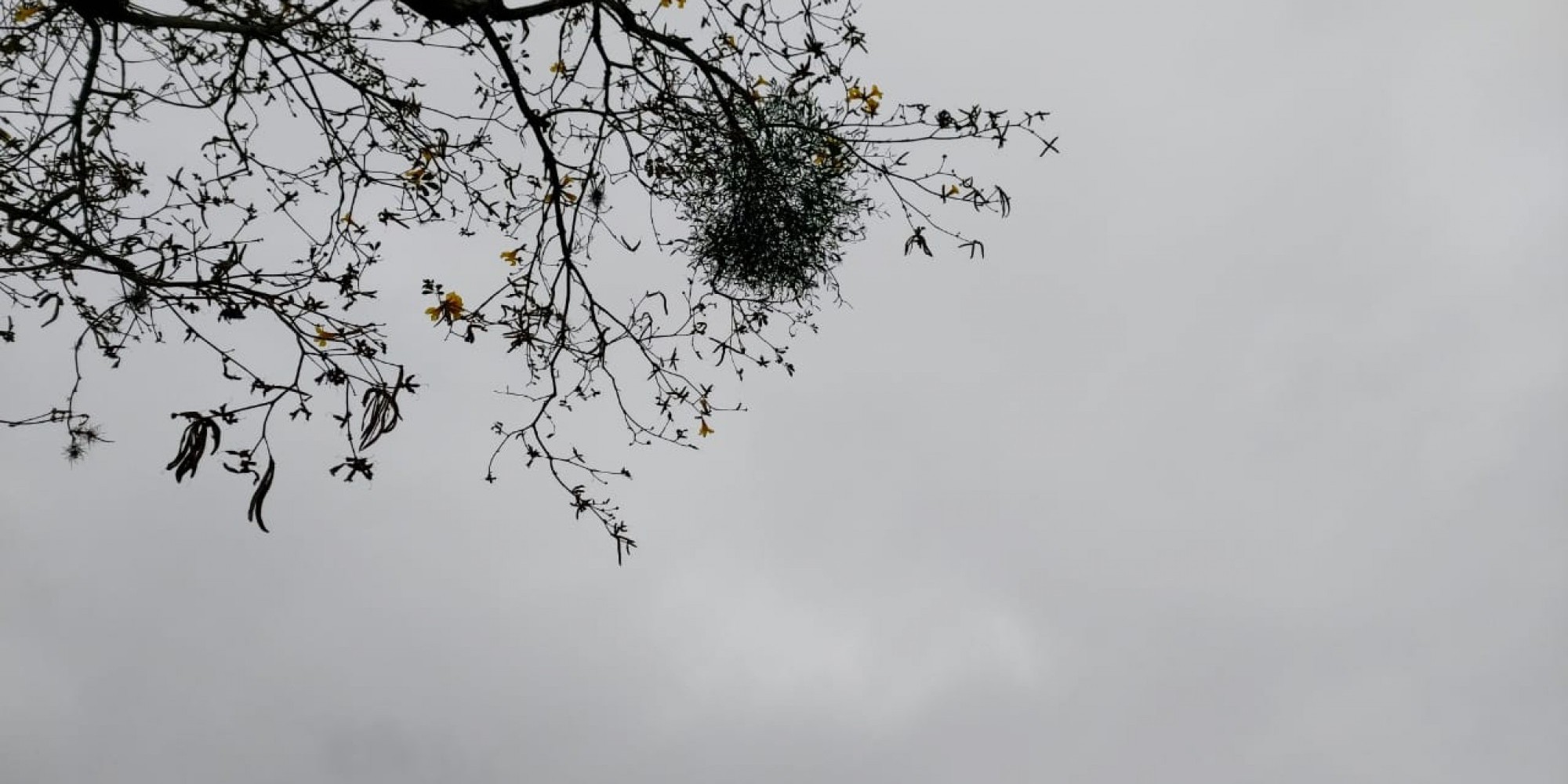 Temperatura será amena Temperatura será amena