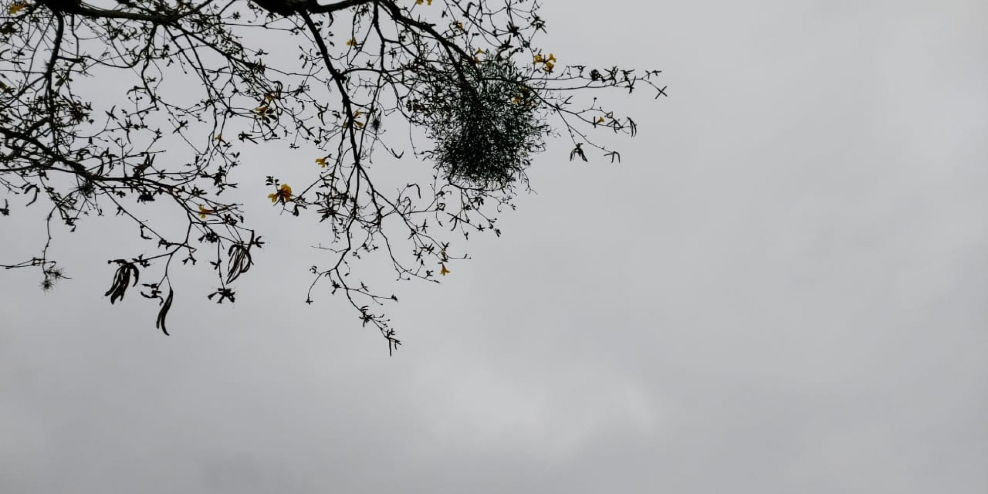 Semana será de alternância entre sol e chuva Semana será de alternância entre sol e chuva