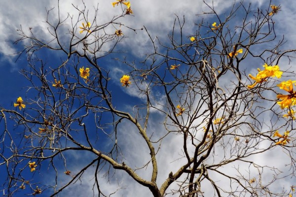 Inverno termina com termômetros batendo 41ºC no Brasil 