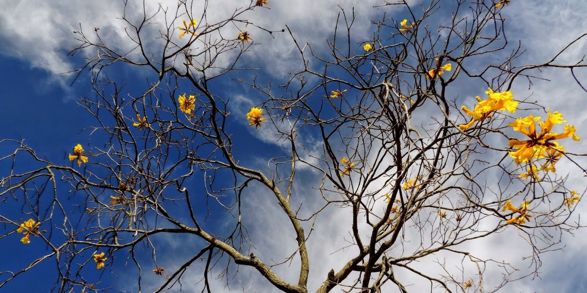 Inverno termina com termômetros batendo 41ºC no Brasil