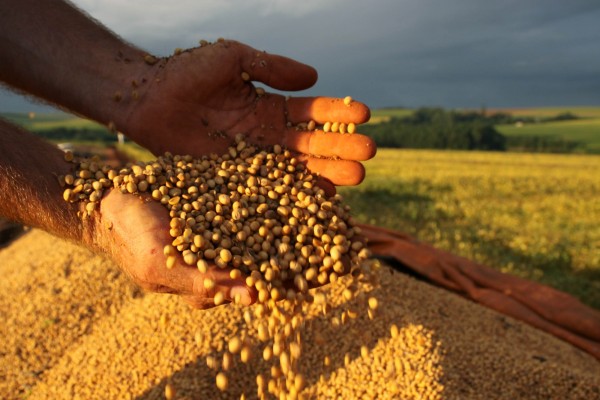 O ano de 2020 terminou com saldo positivo no número de empregos com carteira assinada no agronegócio gaúcho
