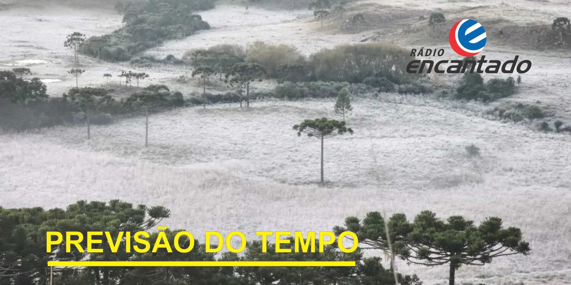 Noites frias e geadas é a previsão para o estado nos próximos dias