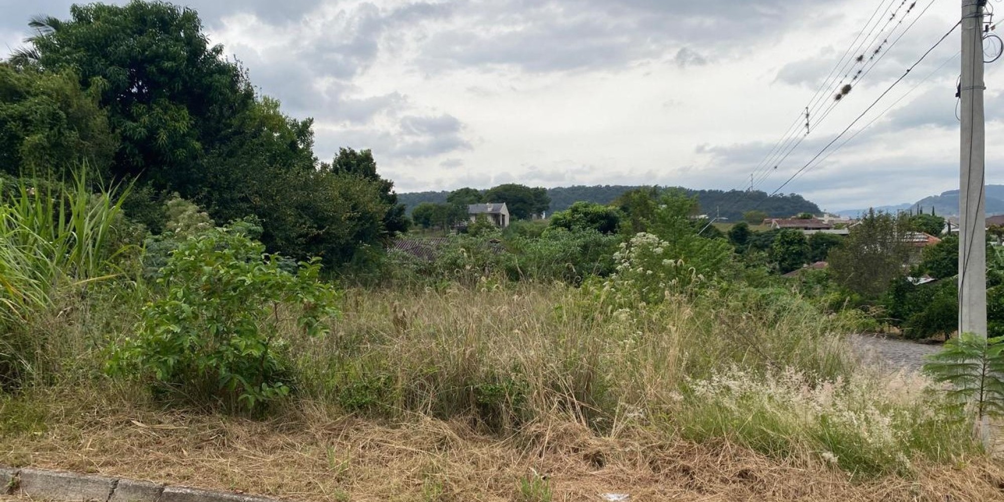 Falta de cuidados em terrenos baldios em Encantado pode gerar multas