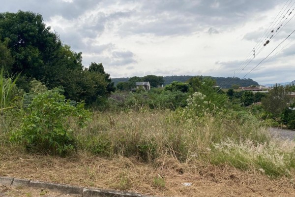 Falta de cuidados em terrenos baldios em Encantado pode gerar multas
