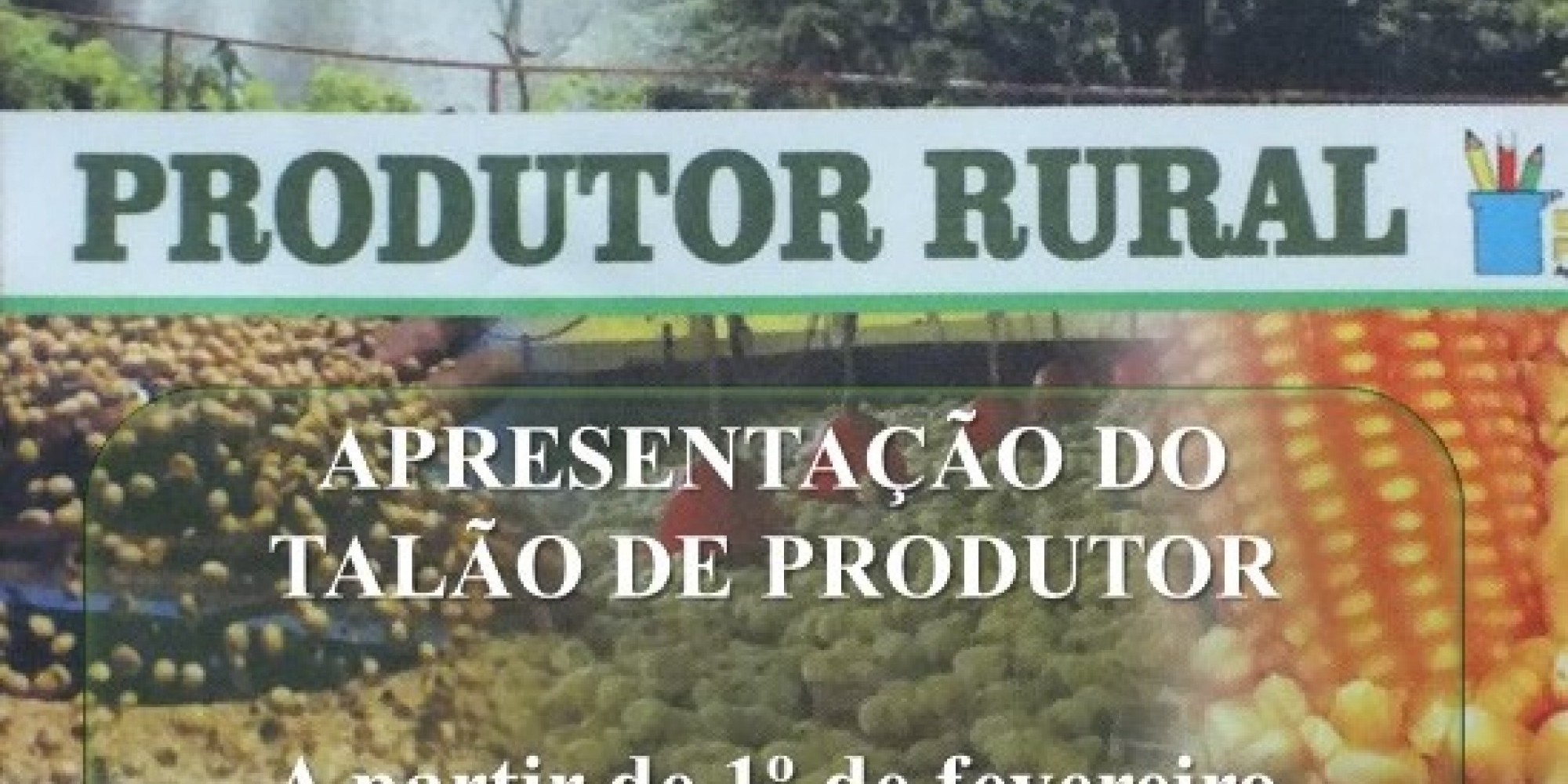 Produtores devem seguir cronograma definido pela secretaria de Agricultura Produtores devem seguir cronograma definido pela secretaria de Agricultura