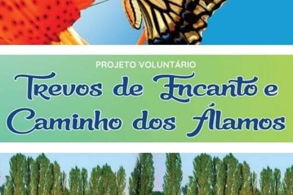 Projeto quer deixar a cidade ainda mais bonita 