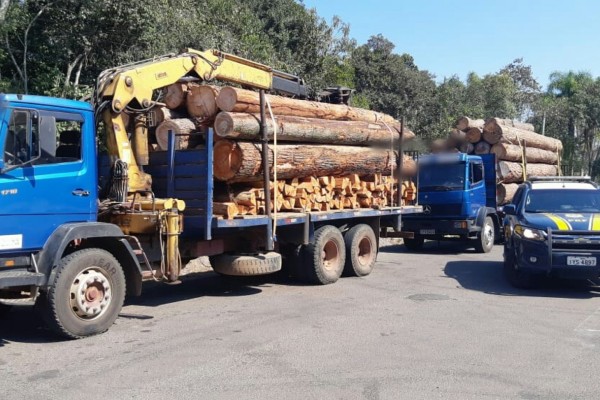 Veículos ficaram retidos até o transbordo da carga excedente