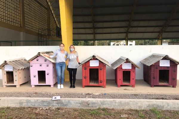 ONG ASPA está destinando casinhas para os animais em situação de vulnerabilidade