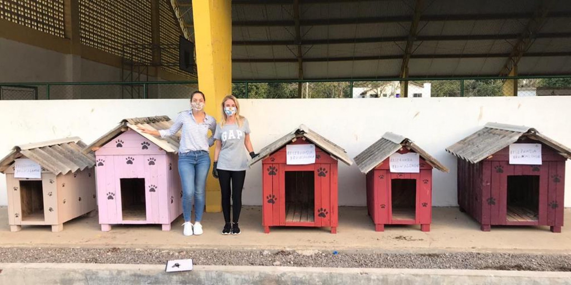 ONG ASPA está destinando casinhas para os animais em situação de vulnerabilidade ONG ASPA está destinando casinhas para os animais em situação de vulnerabilidade