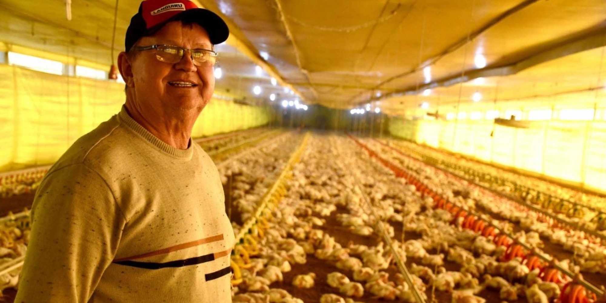 Transparência e acesso à informação valorizados em reunião-almoço com associados da Languiru