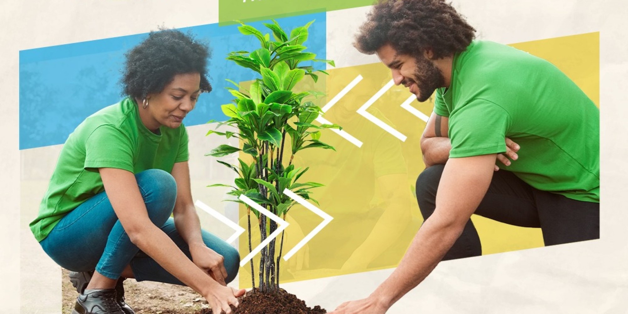 Agências do Sicoob promovem ações no Dia C