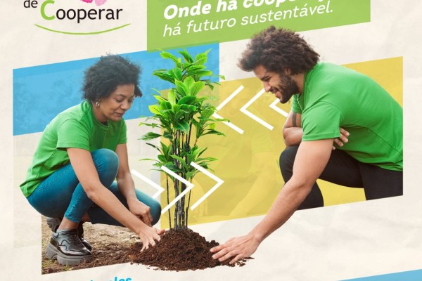 Agências do Sicoob promovem ações no Dia C