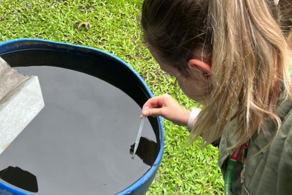 Alto índice para Dengue preocupa