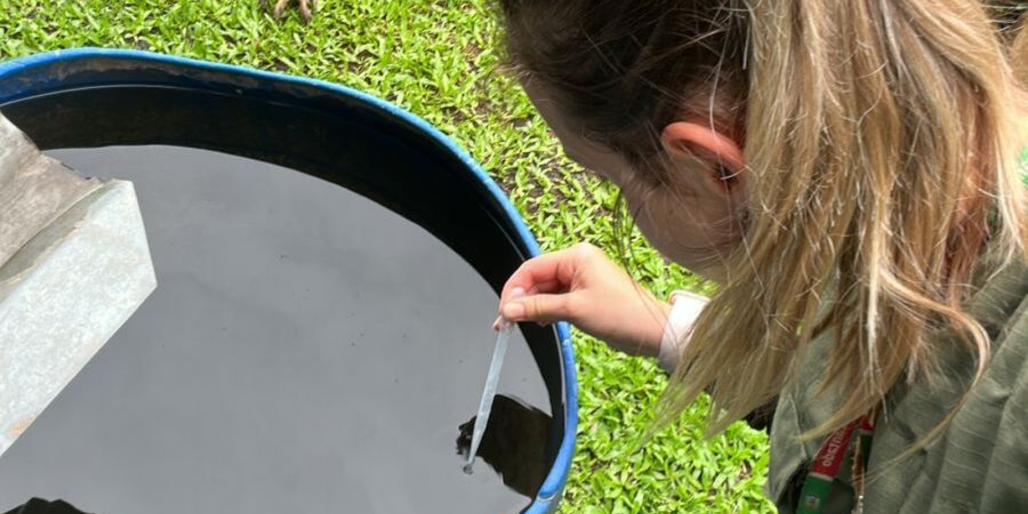 Alto índice para Dengue preocupa