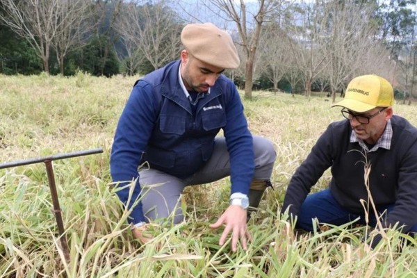 Iniciativa do governo gaúcho, coordenada pela Secretaria de Desenvolvimento Rural, busca recuperar a produção e o solo de pequenas propriedades afetadas e fortalecer a resiliência climática da agricultura familiar.
