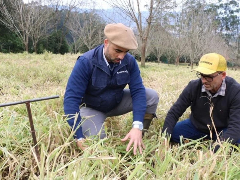 Iniciativa do governo gaúcho, coordenada pela Secretaria de Desenvolvimento Rural, busca recuperar a produção e o solo de pequenas propriedades afetadas e fortalecer a resiliência climática da agricultura familiar.