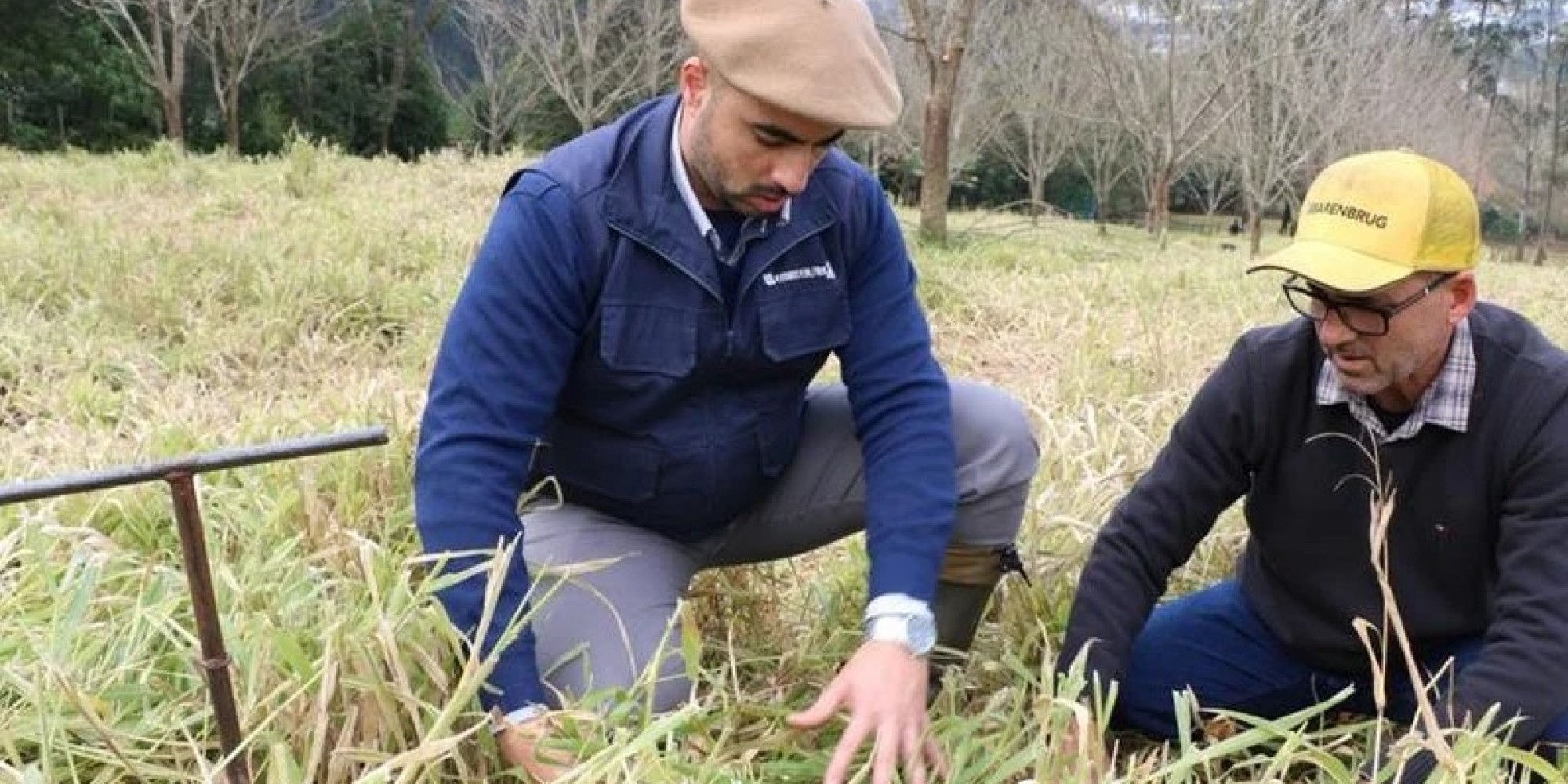 Iniciativa do governo gaúcho, coordenada pela Secretaria de Desenvolvimento Rural, busca recuperar a produção e o solo de pequenas propriedades afetadas e fortalecer a resiliência climática da agricultura familiar. Iniciativa do governo gaúcho, coordenada pela Secretaria de Desenvolvimento Rural, busca recuperar a produção e o solo de pequenas propriedades afetadas e fortalecer a resiliência climática da agricultura familiar.