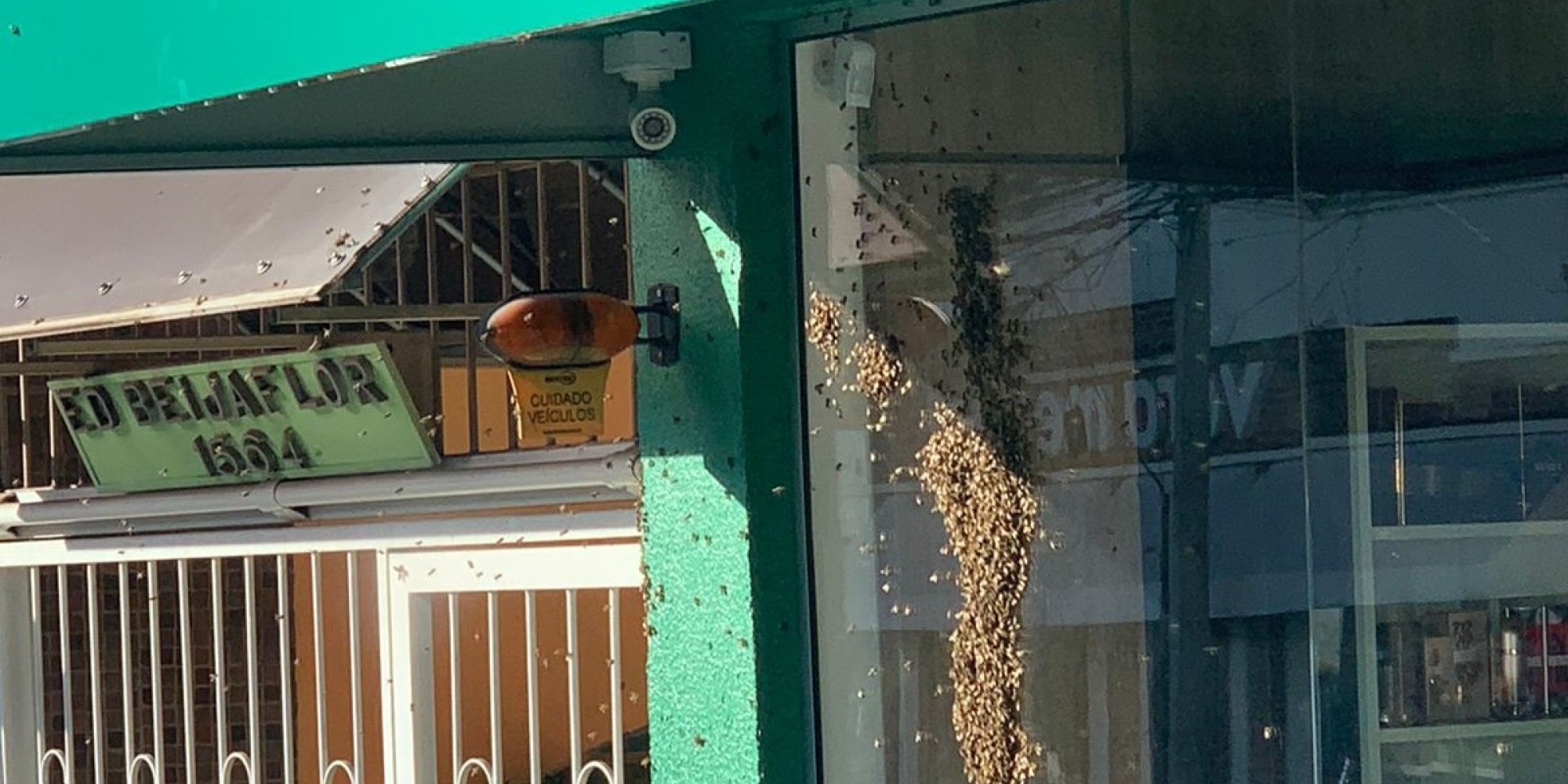 Enxame de abelhas movimenta a guarnição de bombeiros