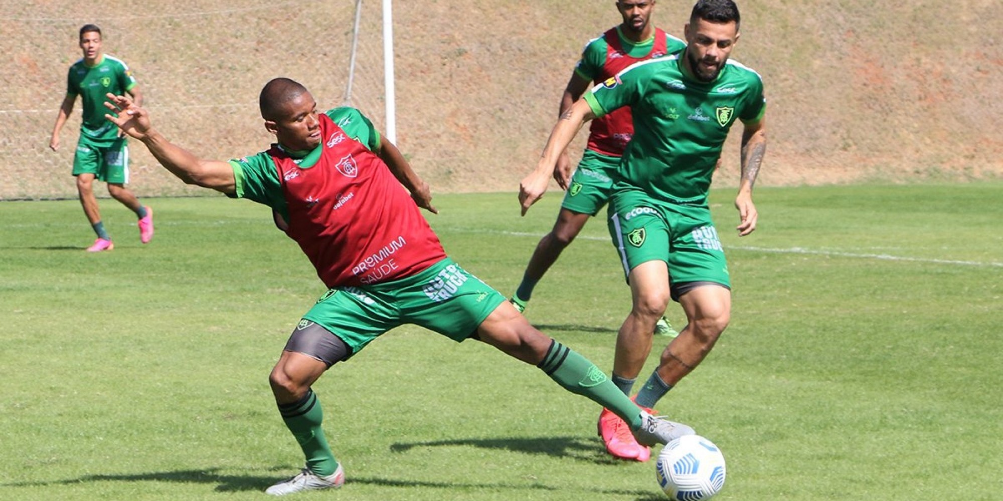 Coelho busca a vitória em casa para se manter fora do Z4